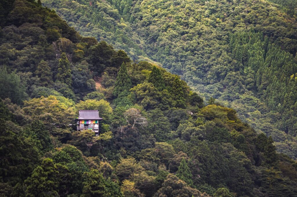 A lone house on a forested hillside in Japan